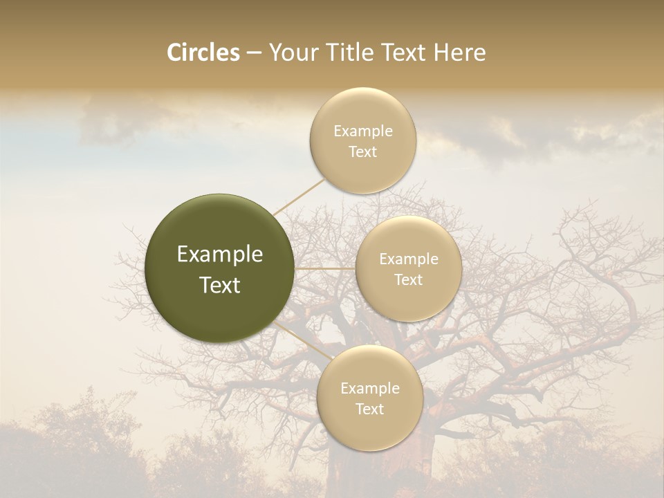 Travel Africa Sunset PowerPoint Template