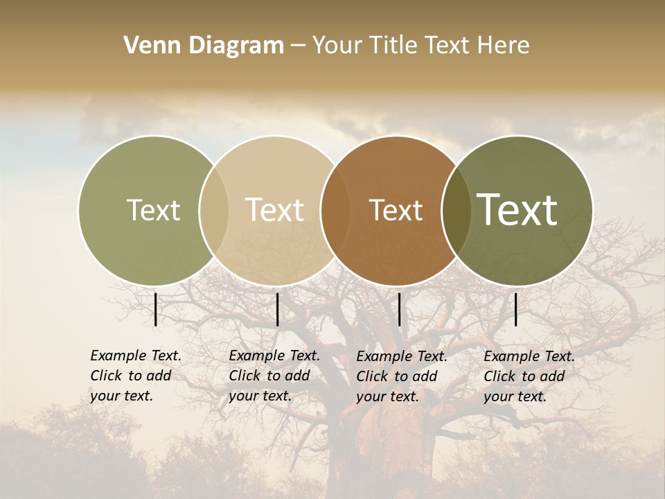 Travel Africa Sunset PowerPoint Template