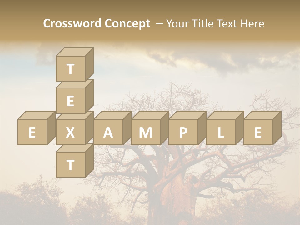 Travel Africa Sunset PowerPoint Template