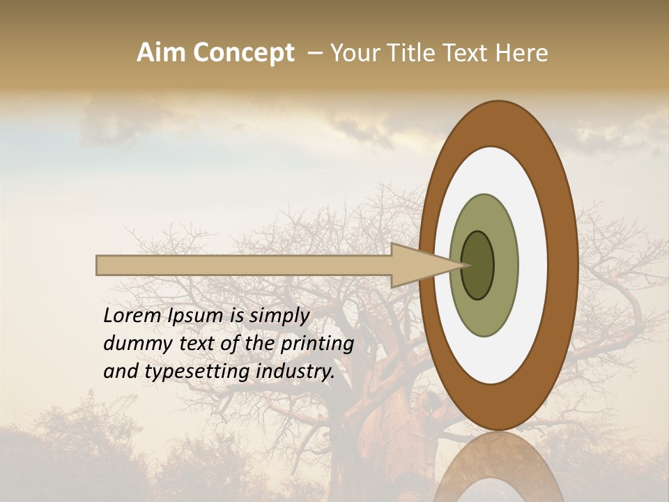 Travel Africa Sunset PowerPoint Template