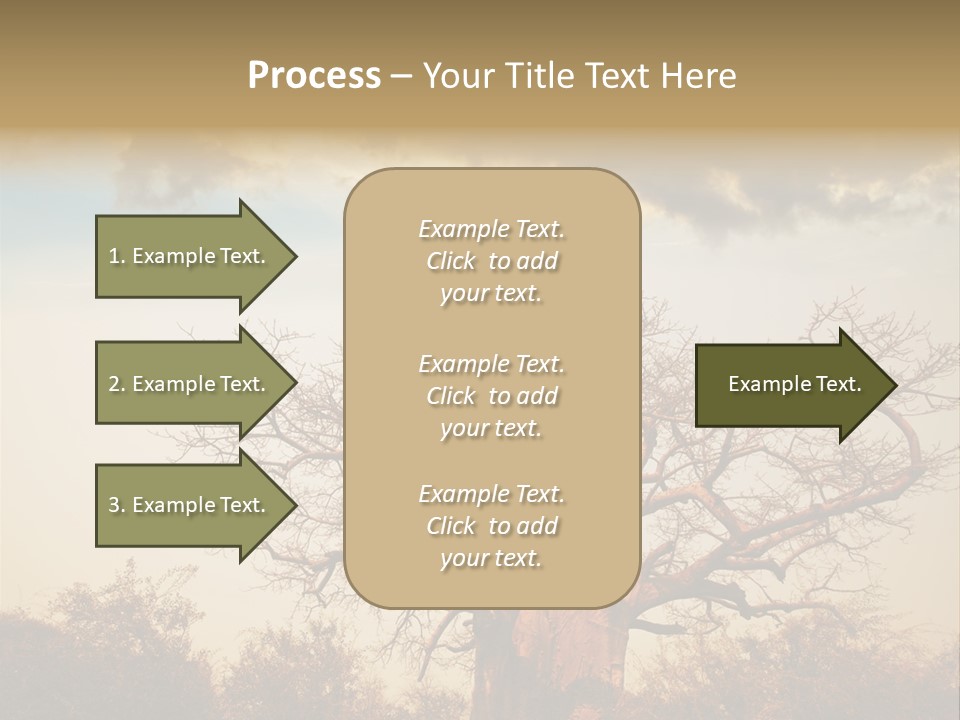 Travel Africa Sunset PowerPoint Template