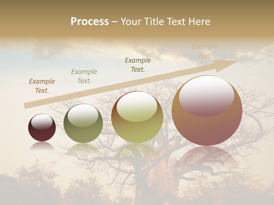 Travel Africa Sunset PowerPoint Template