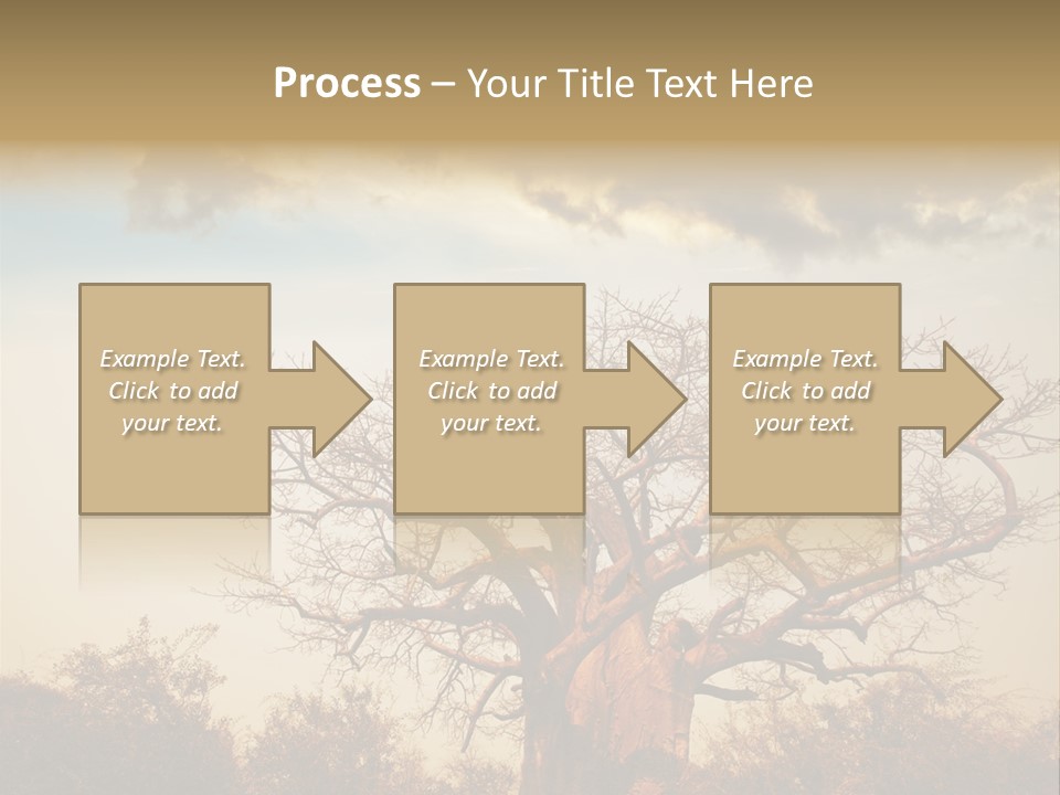 Travel Africa Sunset PowerPoint Template
