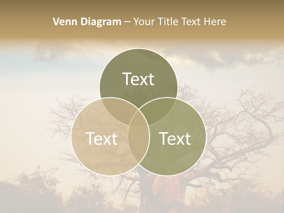 Travel Africa Sunset PowerPoint Template