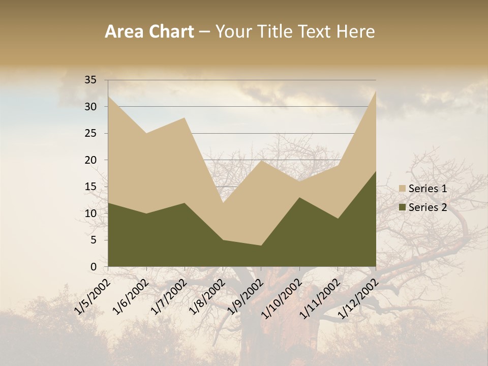 Travel Africa Sunset PowerPoint Template