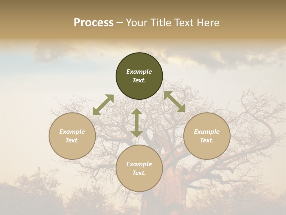 Travel Africa Sunset PowerPoint Template