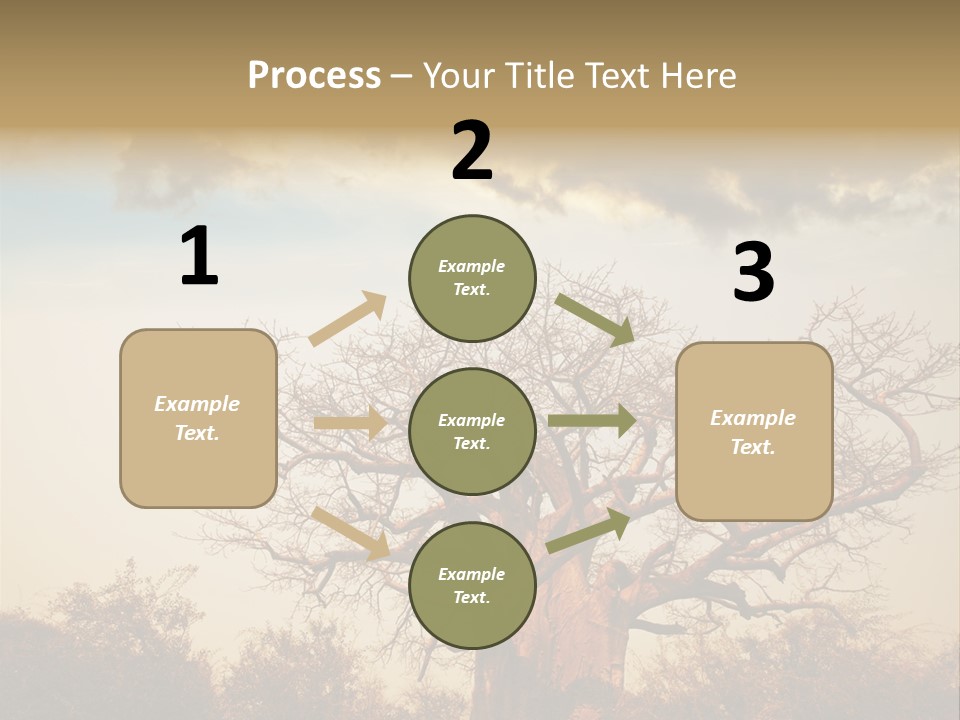 Travel Africa Sunset PowerPoint Template