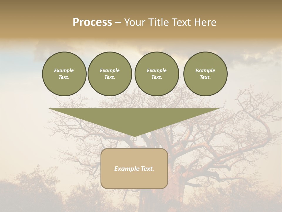 Travel Africa Sunset PowerPoint Template