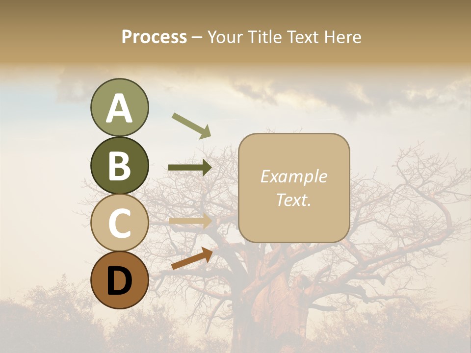 Travel Africa Sunset PowerPoint Template
