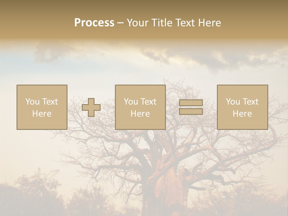 Travel Africa Sunset PowerPoint Template