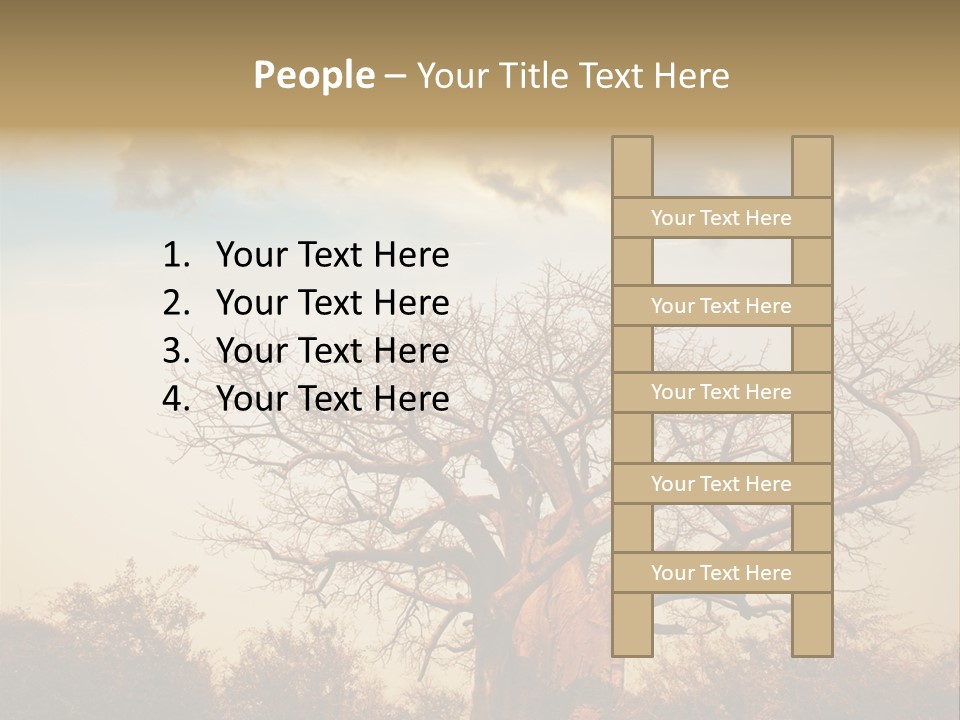 Travel Africa Sunset PowerPoint Template
