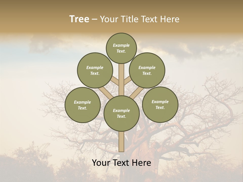 Travel Africa Sunset PowerPoint Template