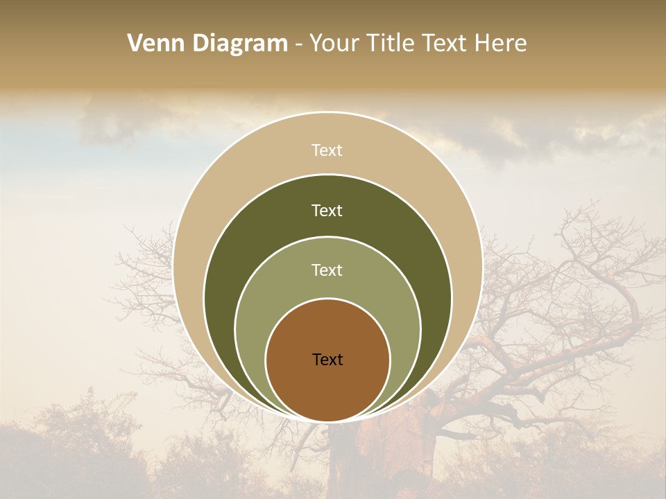 Travel Africa Sunset PowerPoint Template