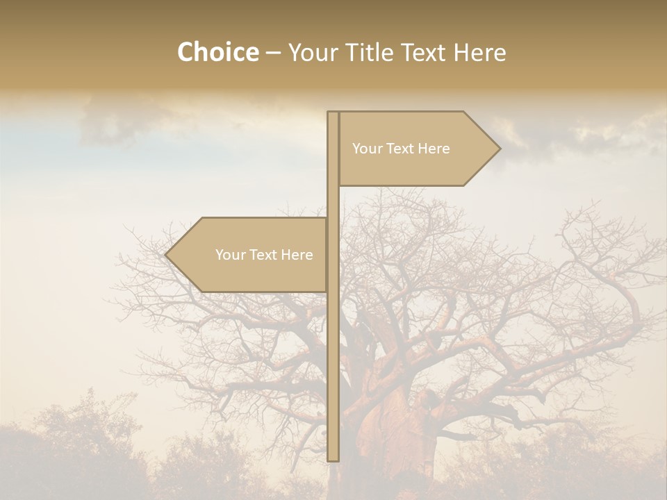 Travel Africa Sunset PowerPoint Template