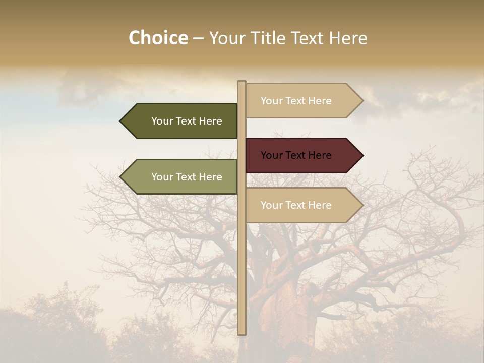Travel Africa Sunset PowerPoint Template
