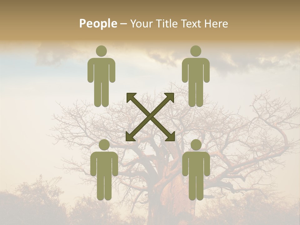 Travel Africa Sunset PowerPoint Template