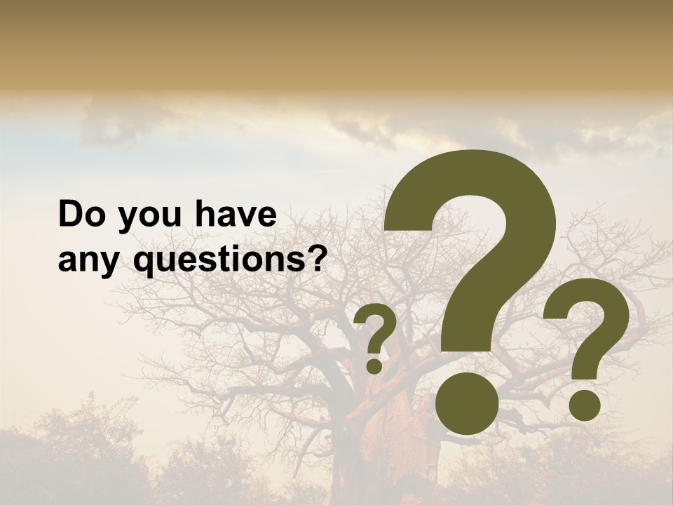 Travel Africa Sunset PowerPoint Template