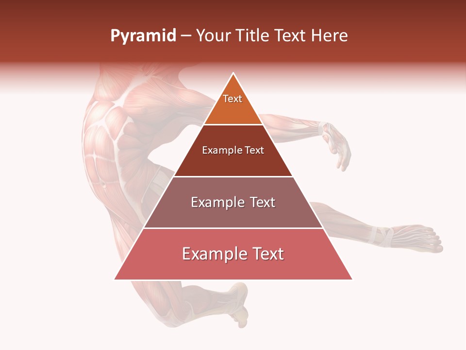 Power Stand Flesh PowerPoint Template