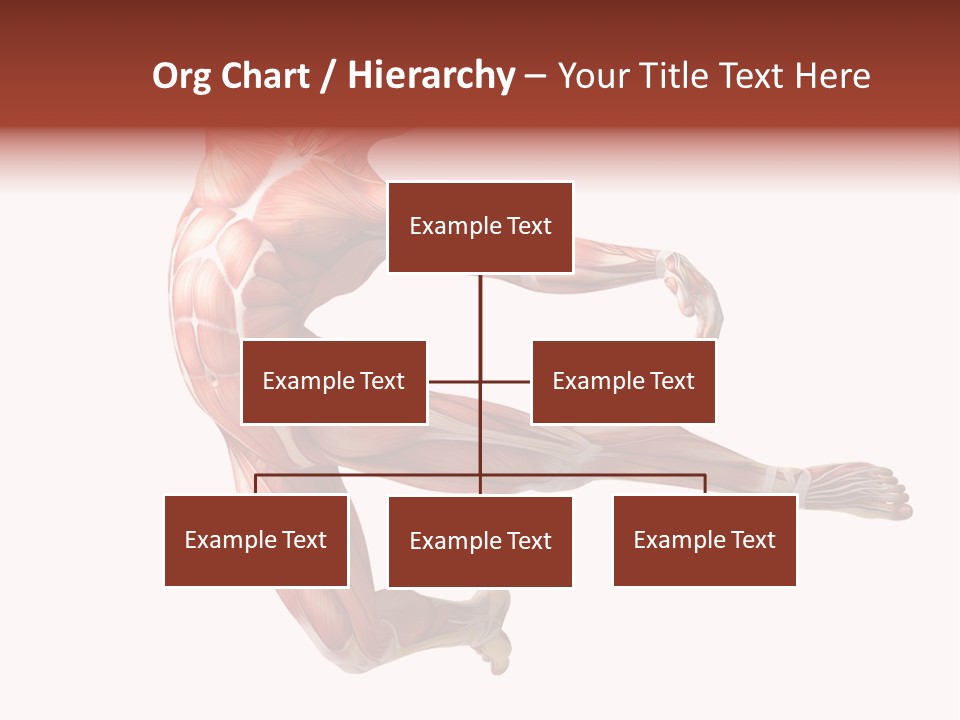 Power Stand Flesh PowerPoint Template