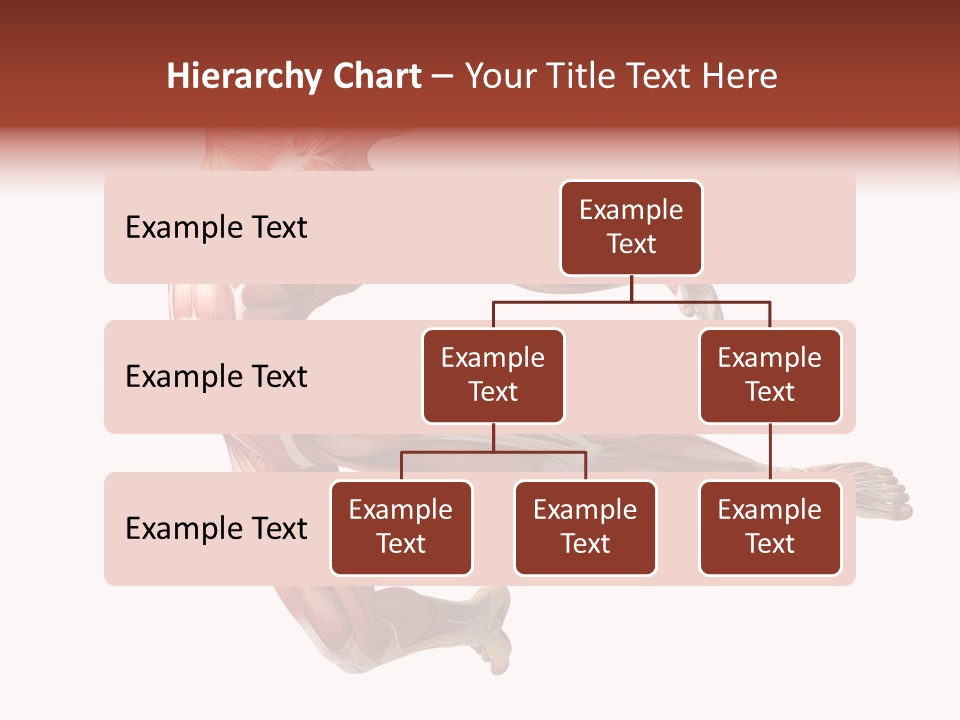 Power Stand Flesh PowerPoint Template