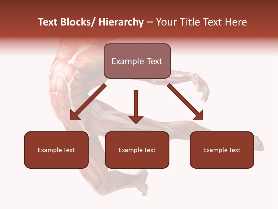 Power Stand Flesh PowerPoint Template