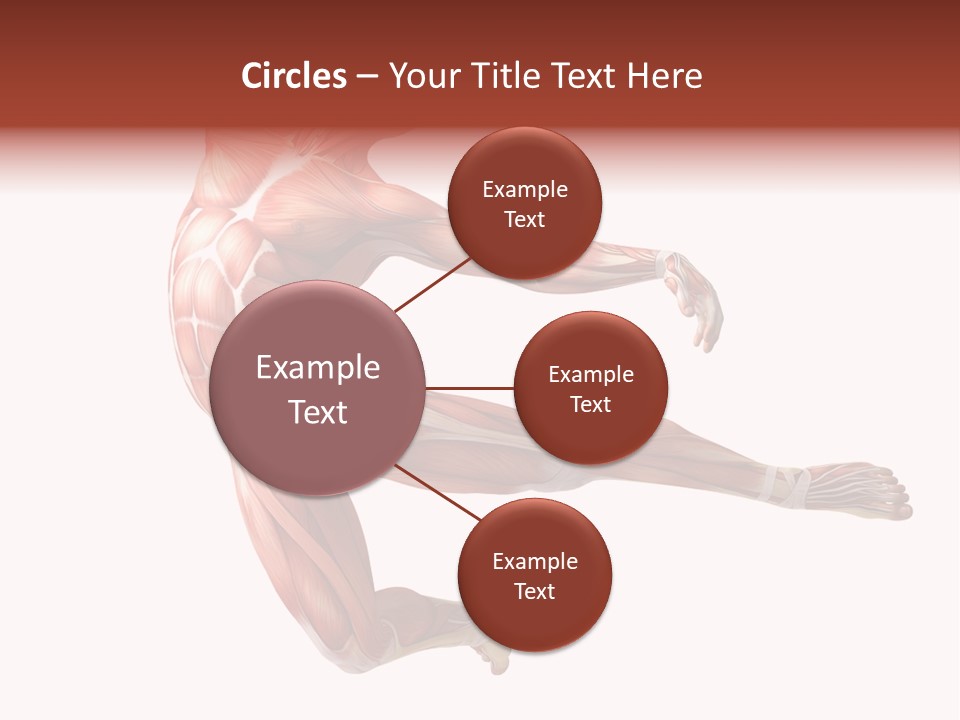 Power Stand Flesh PowerPoint Template