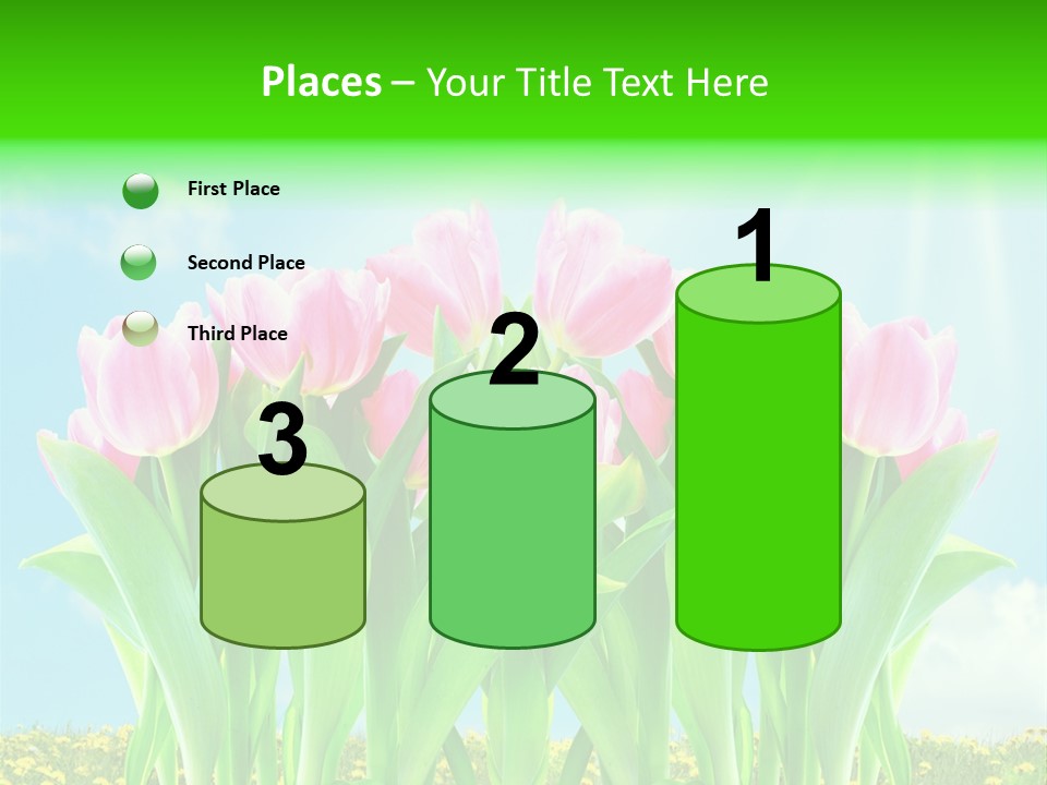 Three Friend Beautiful PowerPoint Template