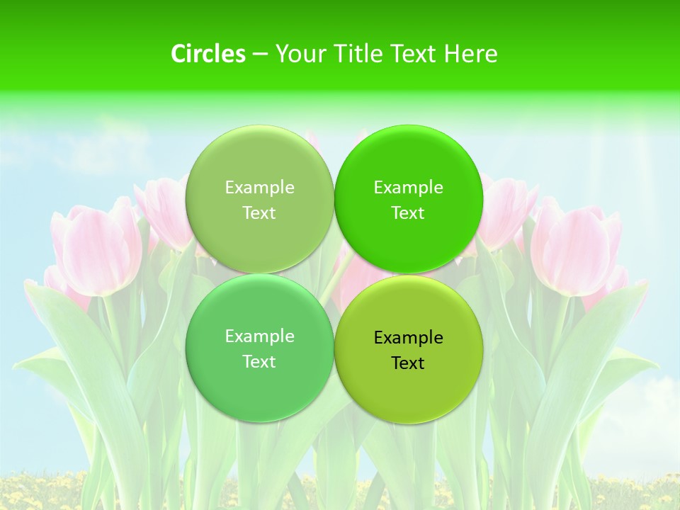 Three Friend Beautiful PowerPoint Template