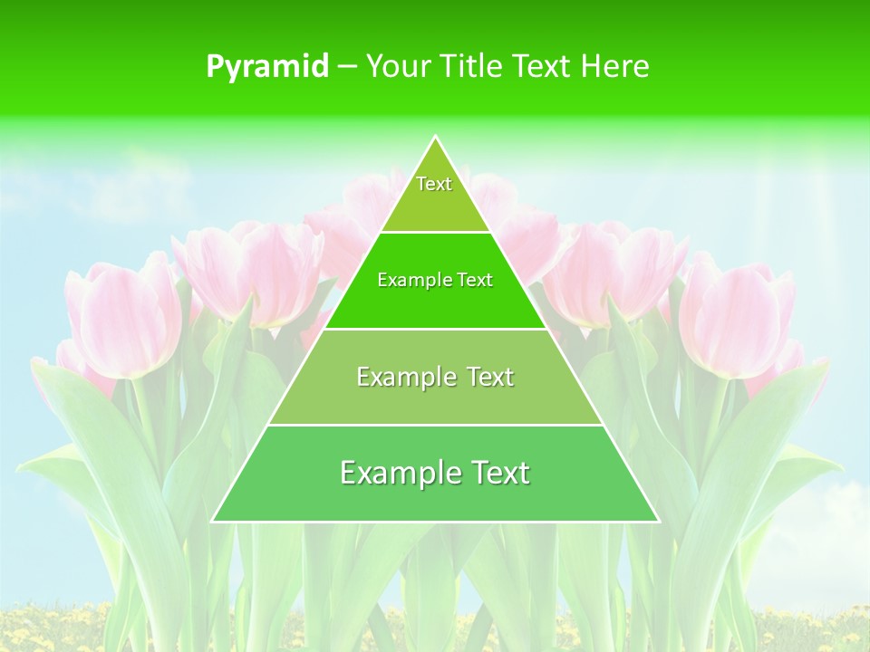 Three Friend Beautiful PowerPoint Template