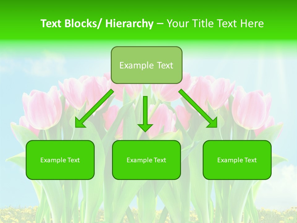 Three Friend Beautiful PowerPoint Template