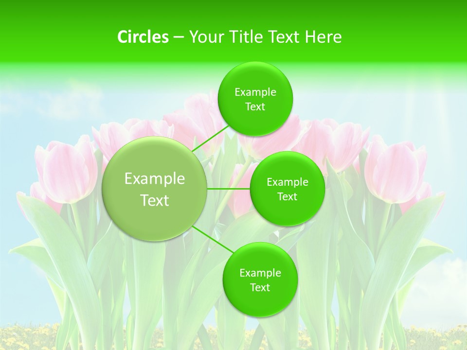 Three Friend Beautiful PowerPoint Template