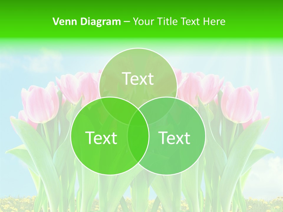 Three Friend Beautiful PowerPoint Template