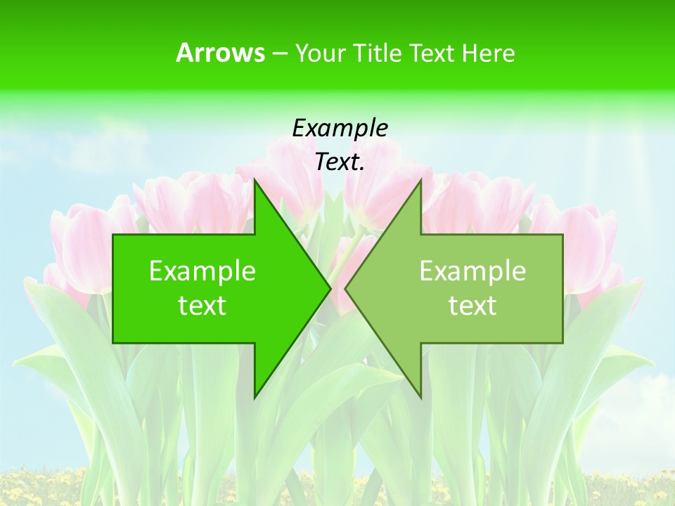 Three Friend Beautiful PowerPoint Template