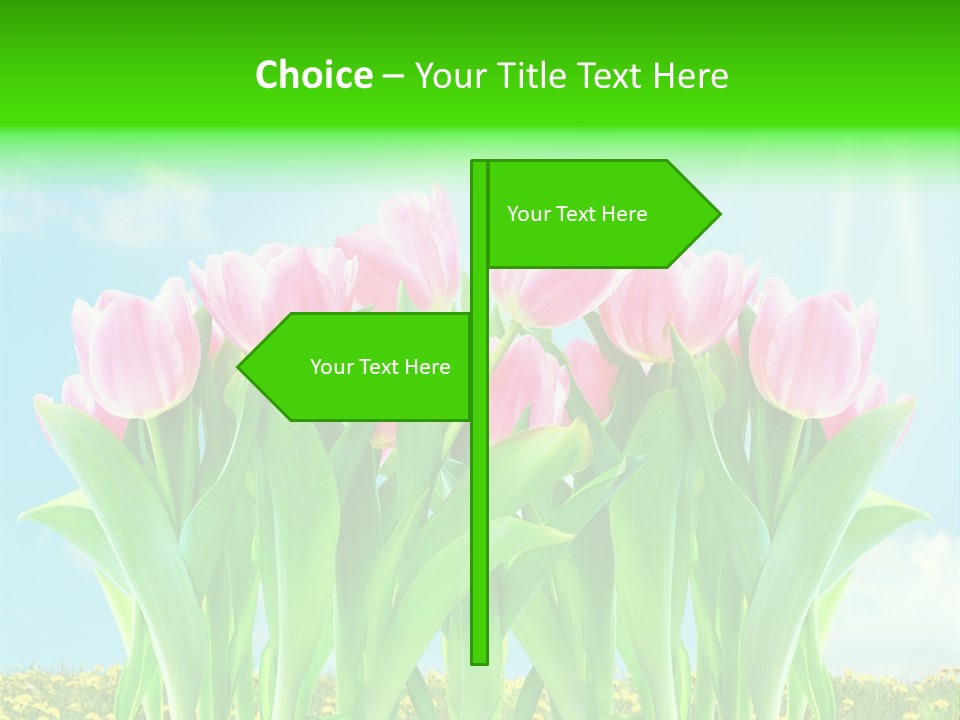 Three Friend Beautiful PowerPoint Template