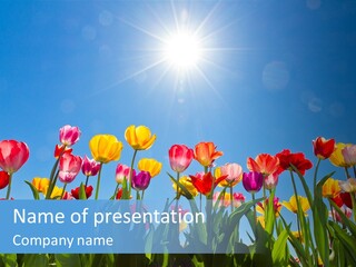 Nursery Grass Season PowerPoint Template