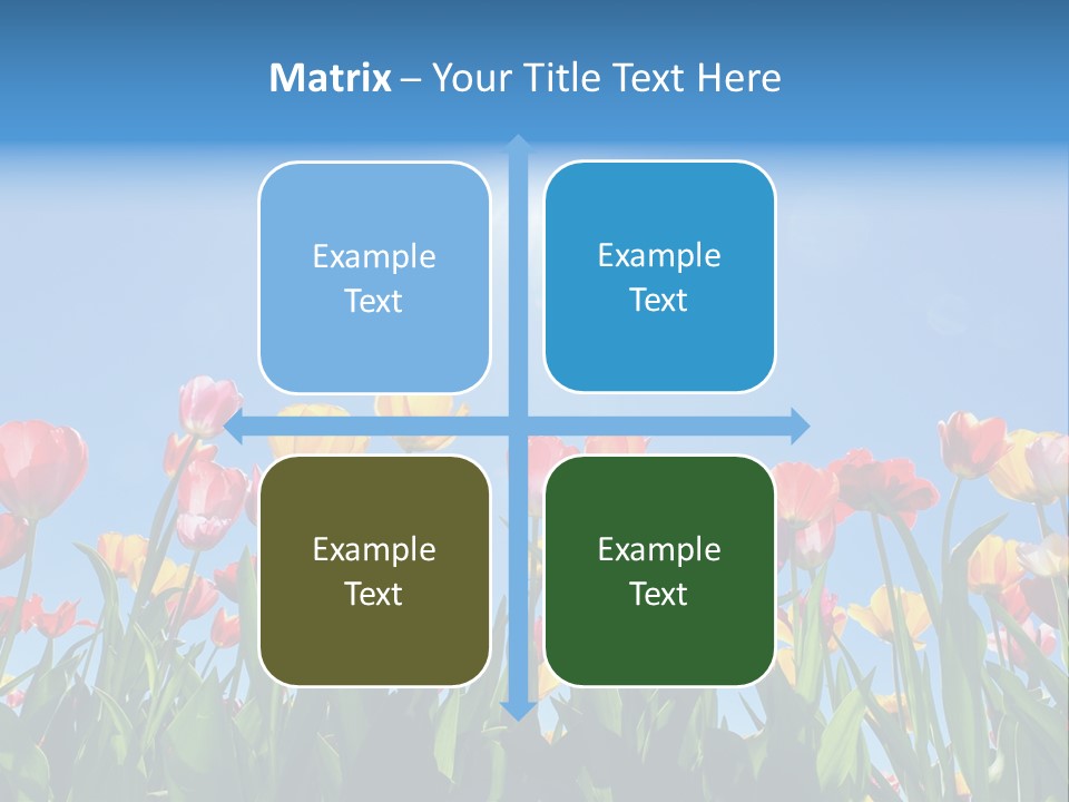 Nursery Grass Season PowerPoint Template