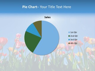 Nursery Grass Season PowerPoint Template