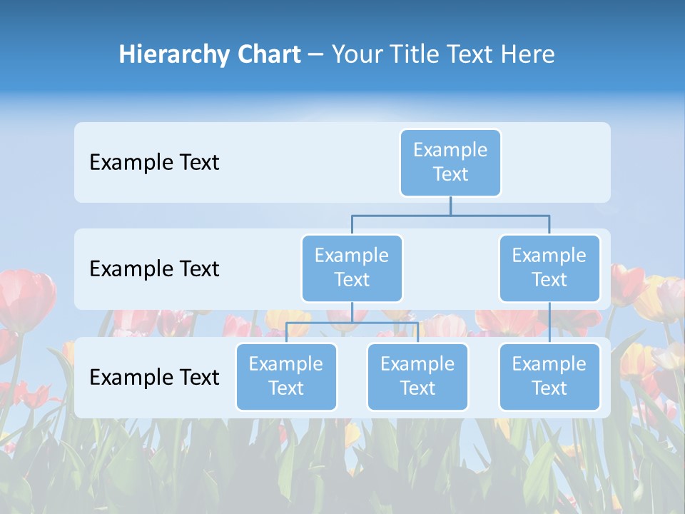 Nursery Grass Season PowerPoint Template