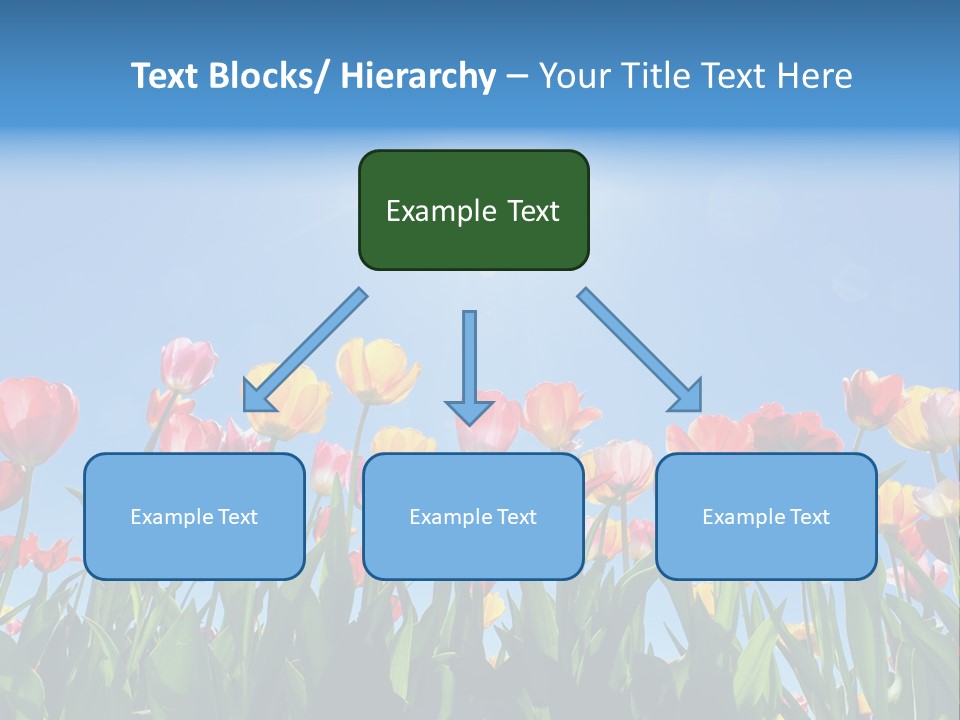 Nursery Grass Season PowerPoint Template