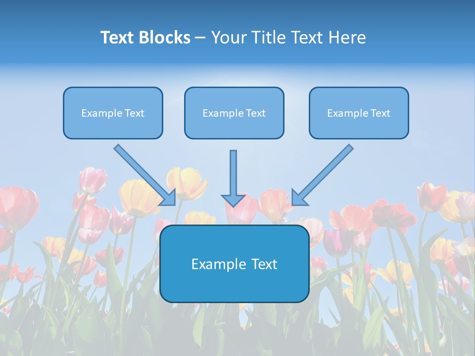Nursery Grass Season PowerPoint Template