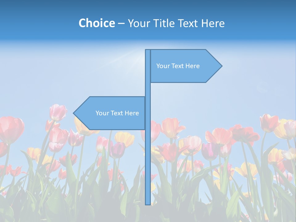 Nursery Grass Season PowerPoint Template