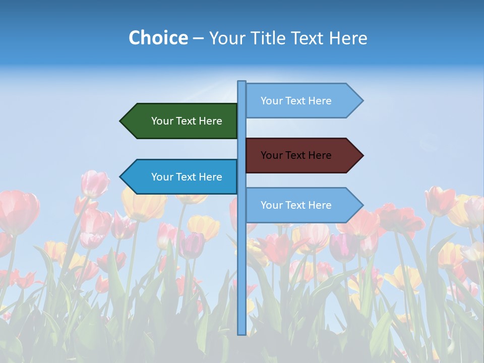 Nursery Grass Season PowerPoint Template
