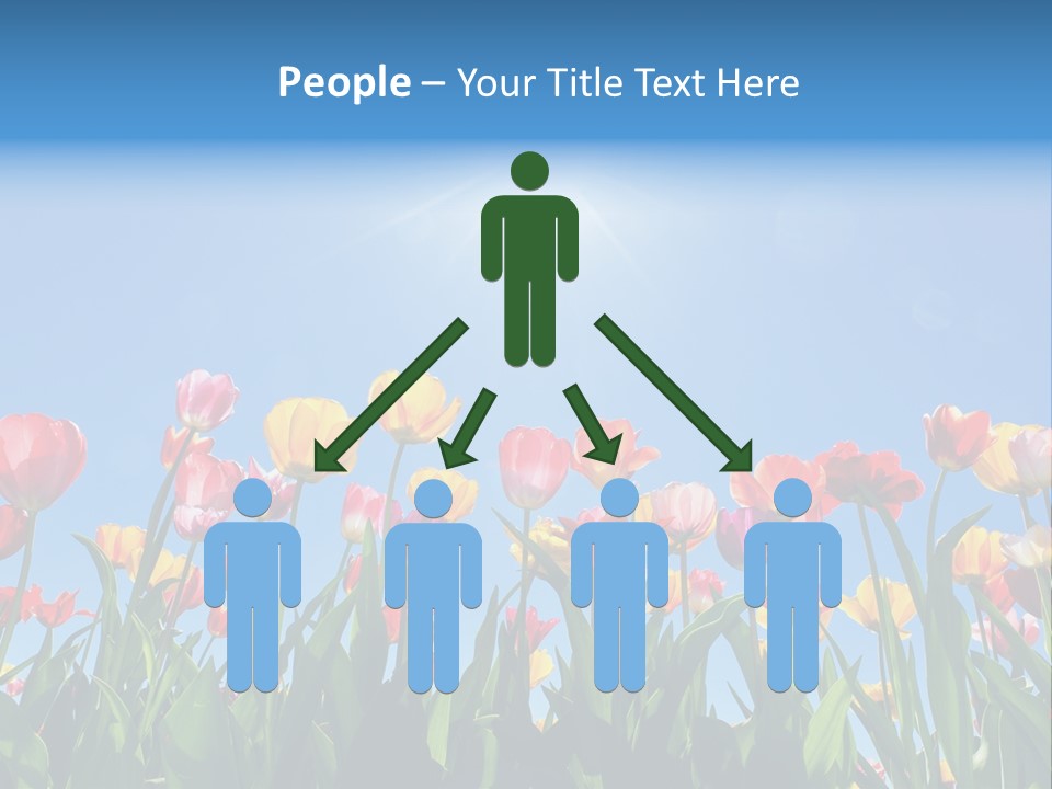 Nursery Grass Season PowerPoint Template