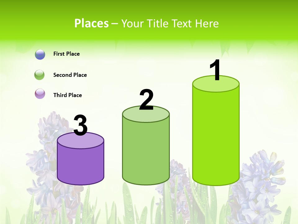 Meadow Natural Decoration PowerPoint Template