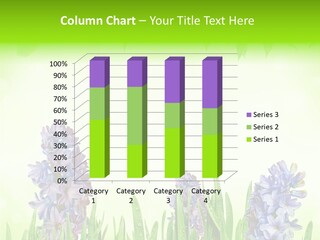 Meadow Natural Decoration PowerPoint Template