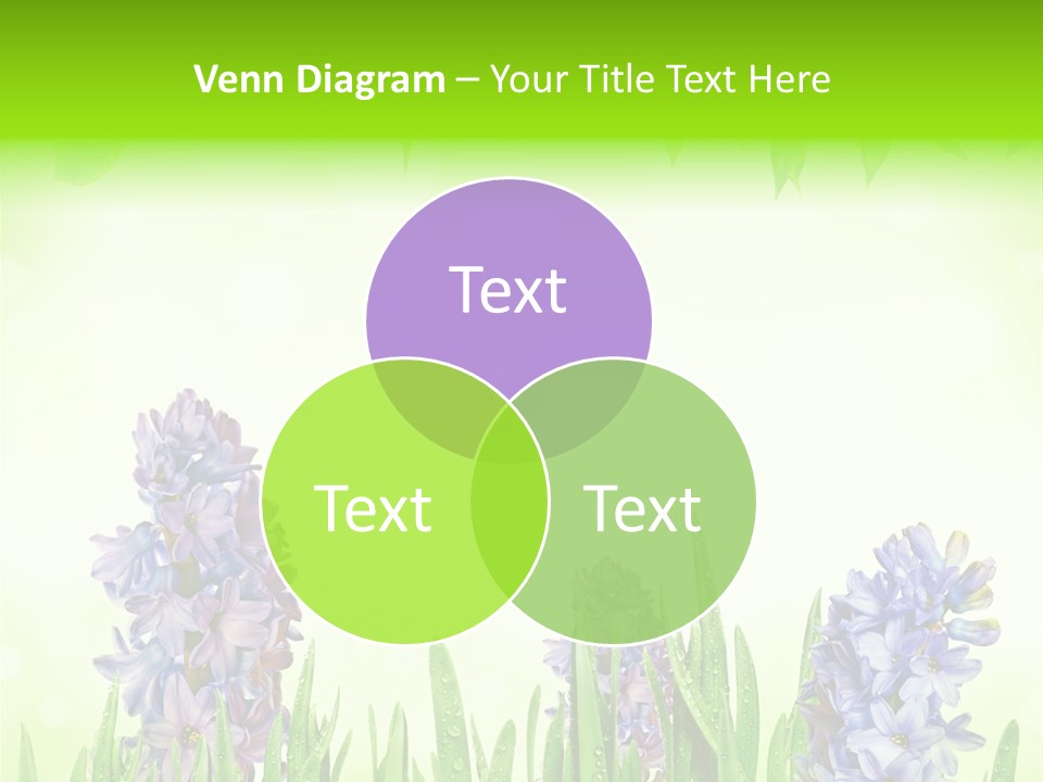 Meadow Natural Decoration PowerPoint Template