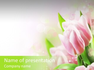 Decorate Flora Isolate PowerPoint Template