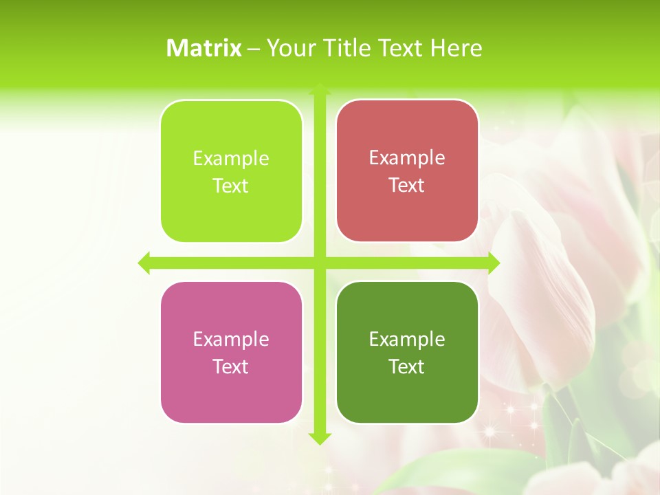 Decorate Flora Isolate PowerPoint Template