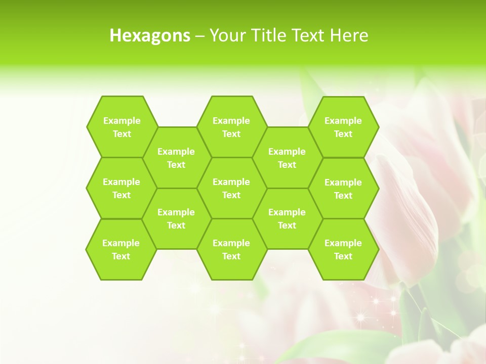 Decorate Flora Isolate PowerPoint Template