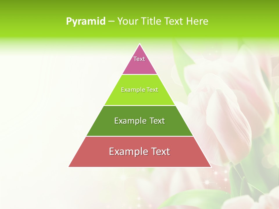 Decorate Flora Isolate PowerPoint Template